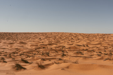 Sahara desert