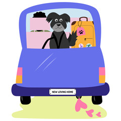 Pet adoption. Pet adoption, Dog going to new home.