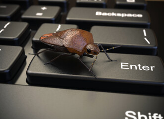 Invasion of bedbugs, emergency for invasions of bedbugs, keyboard with bedbugs. 3D rendering