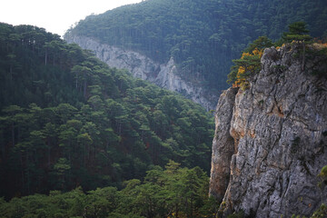 High rocky mountain against the backdrop of mountains covered with green forest