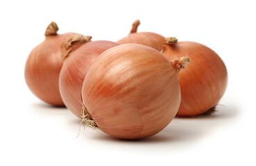 Fresh onion bulbs isolated on white background