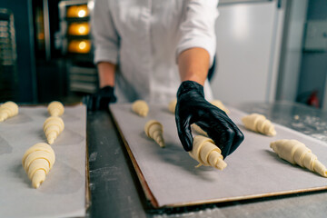 Close-up shot of a female baker's hands placing shaped uncooked croissants on a baking sheet with...
