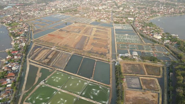 Aerial view of prawn farming with with aerator pump oxygenation water near ocean.