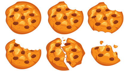Set of cookies with chocolate, bitten and broken
