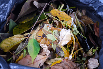 Sustainability organic fertilizer dry leaves pile covering earth control global warming composting...
