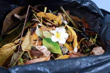 Sustainability organic fertilizer dry leaves pile covering earth control global warming composting...