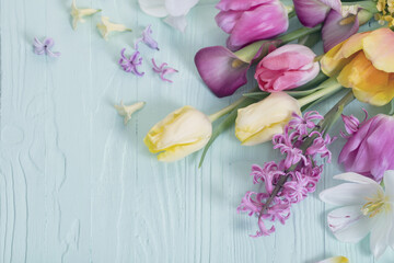 spring flowers on blue wooden background