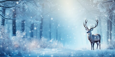 Christmas winter deer. Banner, copy space