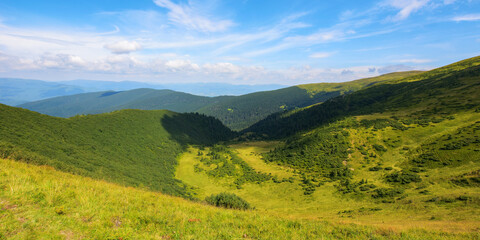 mountainous landscape of ukraine. mountains of chornohora ridge. warm summer forenoon