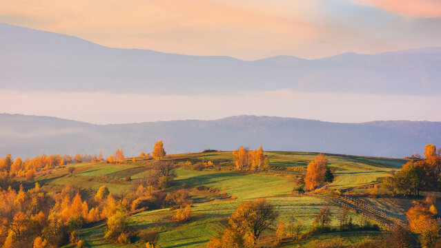 rolling hills of carpathian rural landscape. mountainous scenery in autumn at sunrise