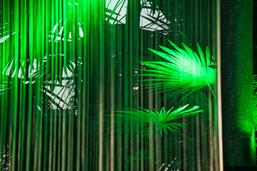 Palmenblatt im grünen Licht