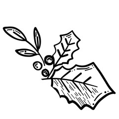 Christmas traditional leaf with berry.