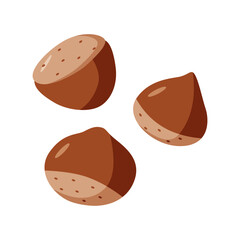 Chestnut vector illustration. Cartoon drawing of chestnut nuts in a shell. Isolated on white.
