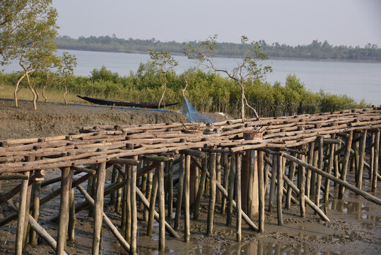 Bamboo stilt jetty, Pakhiralay, Gosaba, Sunderban, South 24 Pargana, West Bengal, India