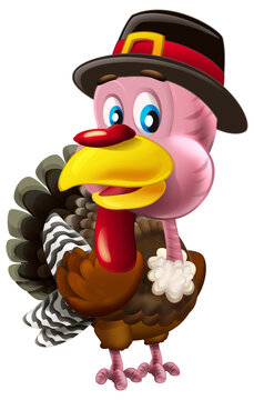 cartoon scene with happy farm bird  turkey thanksgiving isolated illustration for children