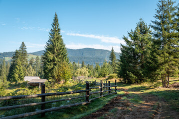 Landscape of a small mountain village in the morning. Road and fence in mountains, big fir and pine trees around