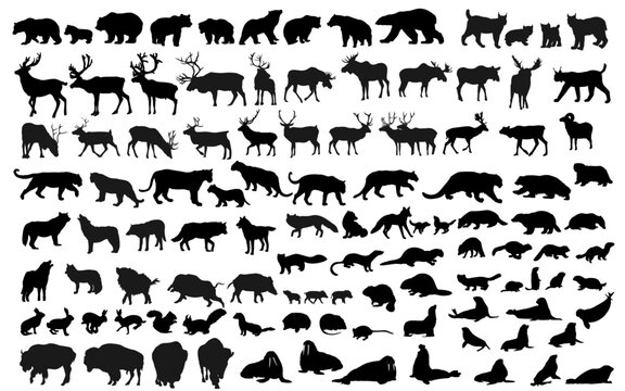 North forest, fields and sea animal silhouettes set. More than 100 silhouettes. Vector illustration.