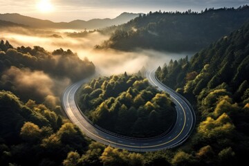 Top view of curved road passing green tall forest with sun light and fog