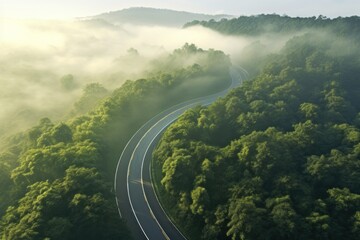 Top view of curved road passing green tall forest with sun light and fog