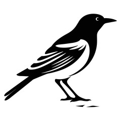 Bird Icon Illustration. SVG Vector