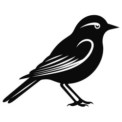 Bird Icon Illustration. SVG Vector