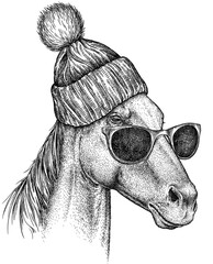 Vintage engraving isolated horse glasses dressed fashion set illustration ink sketch. Wild equine background nag mustang animal silhouette sunglasses hipster hat art. Black and white hand drawn image