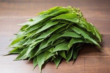 pile of neem leaves on a white background