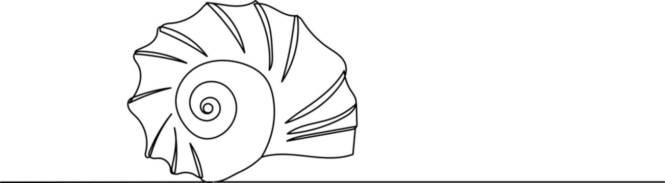 shell outline, sketch isolated vector