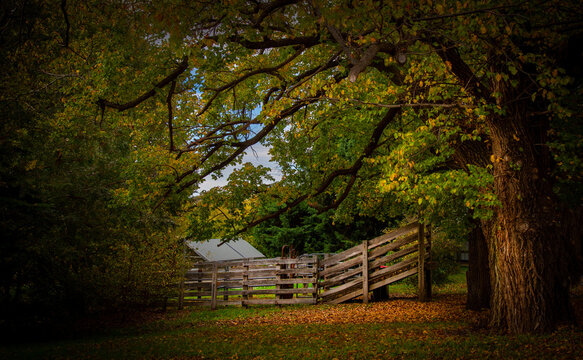 Autumn Country NSW Australia 
