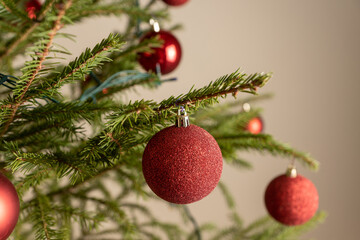 Obraz na płótnie Canvas Christmas tree branch decorated with a toy ball