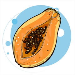 Vector illustration of summer tropical fruit for healthy lifestyle. Half papaya. Doodle flat icon isolated on white background with colorful circle. Element for digital resources graphic fruit