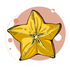 Vector illustration of summer tropical fruit for healthy lifestyle. Half  starfruit. Doodle flat icon isolated on white background with colorful circle. Element for digital resources graphic fruit