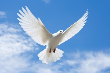 Obraz premium white dove flying against a blue sky