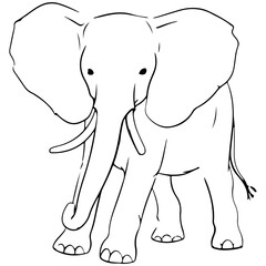 Obraz premium Cute Elephant. Outline vector. Generative AI
