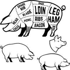 Butcher diagram, scheme and guide - Pork cuts.  Set of pig silhouettes isolated on white background