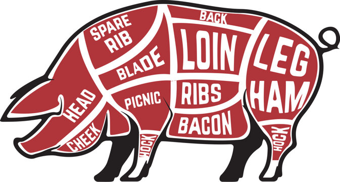 Butcher diagram, scheme and guide - Pork cuts.  Set of pig silhouettes isolated on white background