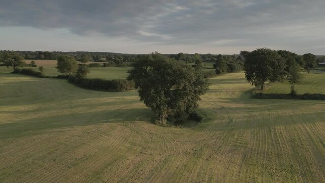 Meadow in north germany drone 