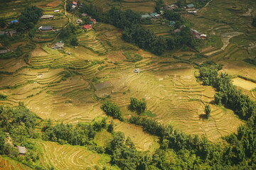 Amazing Rice Paddy or Rice Field in Muong Hoa Valley or Thung Lung Muong Hoa, Sapa, Vietnam - ベトナム サパ 棚田