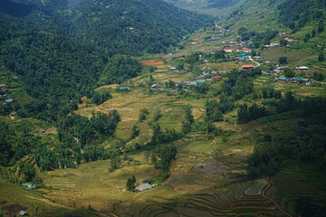 Fototapeta premium Amazing Rice Paddy or Rice Field in Muong Hoa Valley or Thung Lung Muong Hoa, Sapa, Vietnam - ベトナム サパ 棚田