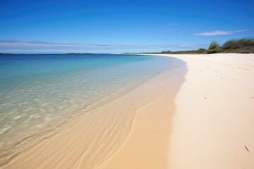 Fototapeta premium untouched sand dune beach alongside clear ocean waters