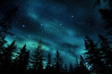 Naklejka premium Blue Green Night Sky