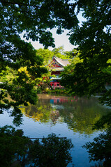 Fototapeta premium Shrine surrounding by nature, alongside a lake, in inokashita park, Tokyo, Japan
