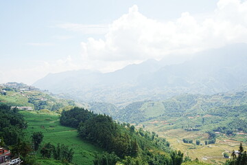 Naklejka premium Amazing Rice Paddy or Rice Field in hidden Mountain, Sapa, Vietnam - ベトナム サパ 棚田