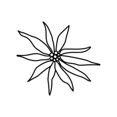 Single hand drawn daisy. Vector illustration in doodle style. Isolate on a white background.
