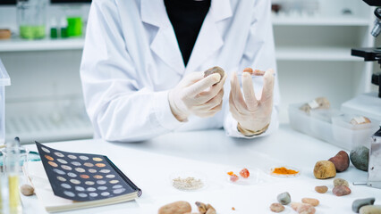 A female geologist or archaeologist is picking up an sample of rock or mineral in paleontology,...