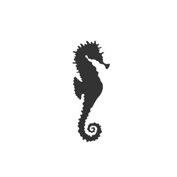 Isolated black silhouette of seahorse on white background. Side view. Silhouette of marine animal. Sea horse.