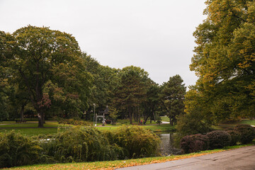 road in the park