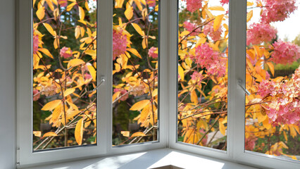 View from the window of the room on the park with yellow trees.