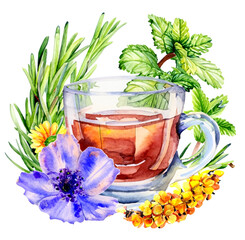 Herbata ziołowa ilustracja