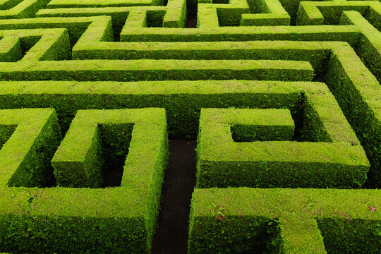 Green labyrinth maze